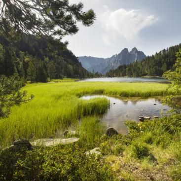 Entorno de la Abadía de Montenartró. Parc Nacional de Aigüestortes