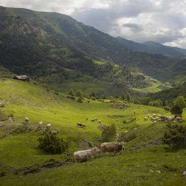 Descubre los Pirineos catalanes desde la Abadia de Montenartró.