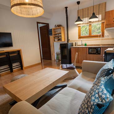 Imagen del Piset del Mestre, apartamento en los Pirineos.